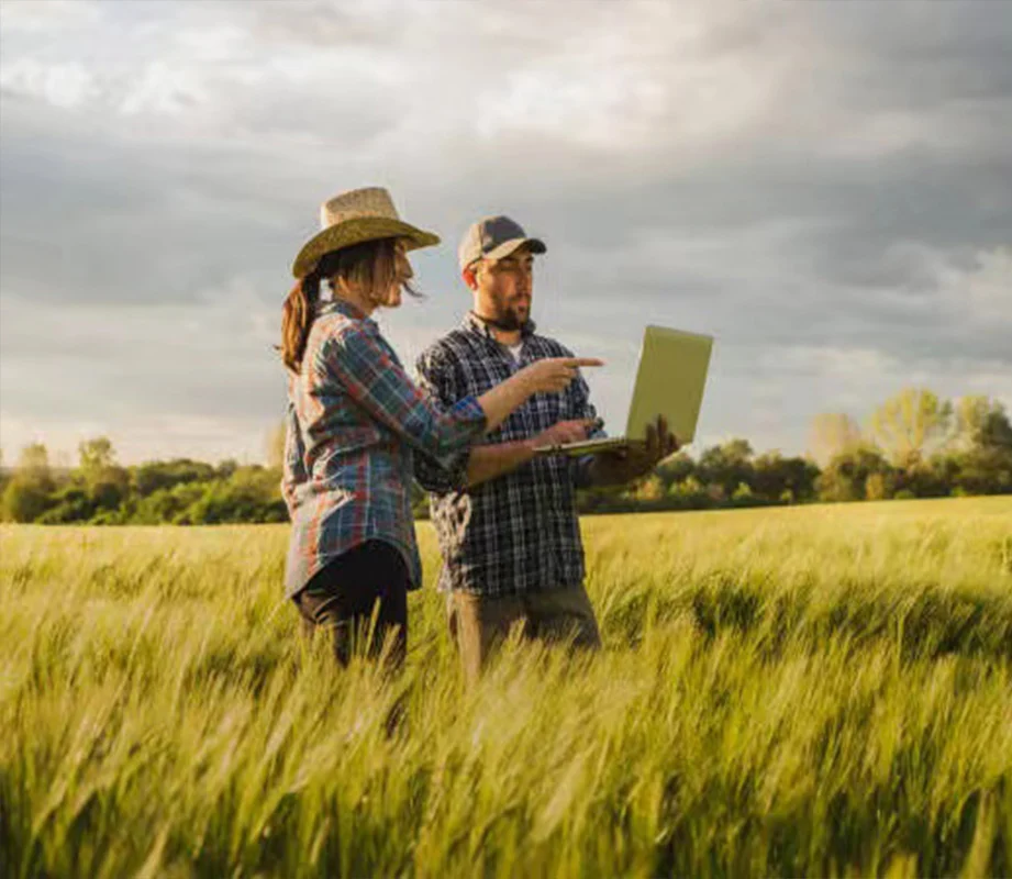 Agricultural professionals in a field