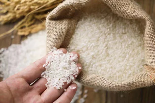 Rice
